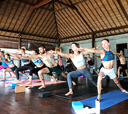 yoga training ashtanga vinyasa