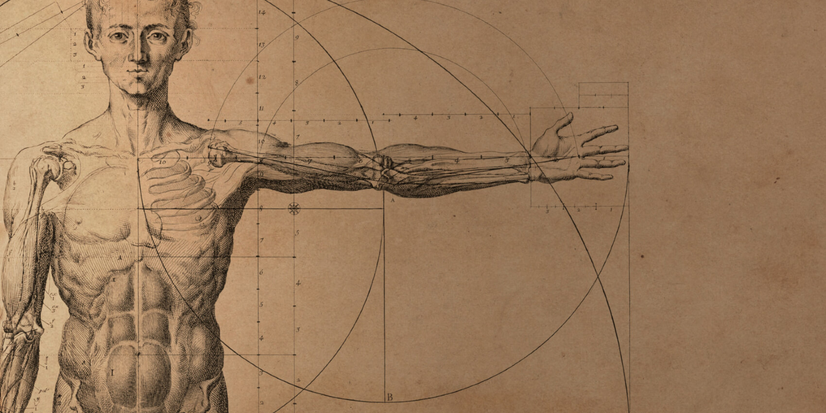 300 Hours Yoga Teacher Training anatomy and physiology
