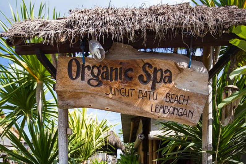organic lembongan spa