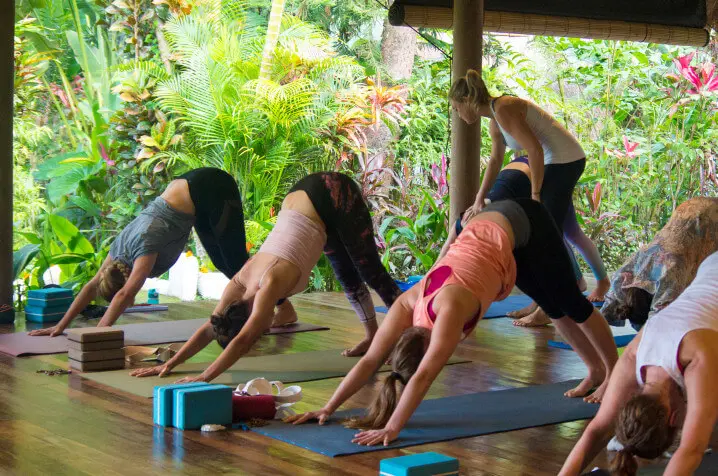 Yoga Teacher Training Bali 9 Best