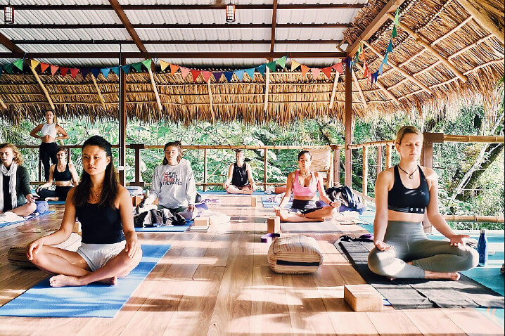 vida asana yoga teacher training