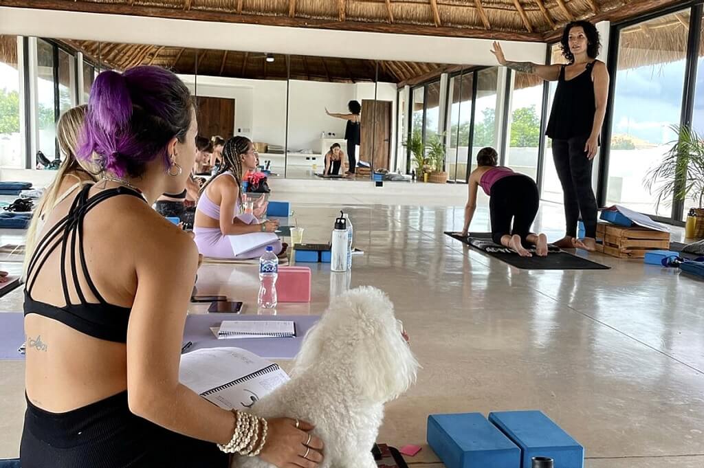 yoga training mexico